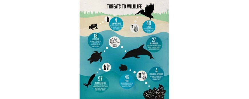 plastic-bags-a-threat-