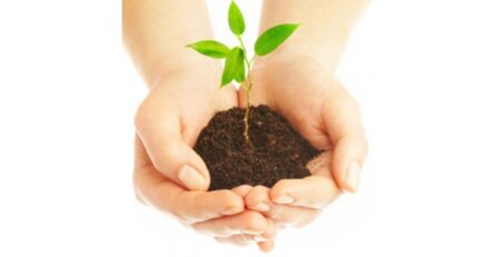 sustainability-and-its-need-