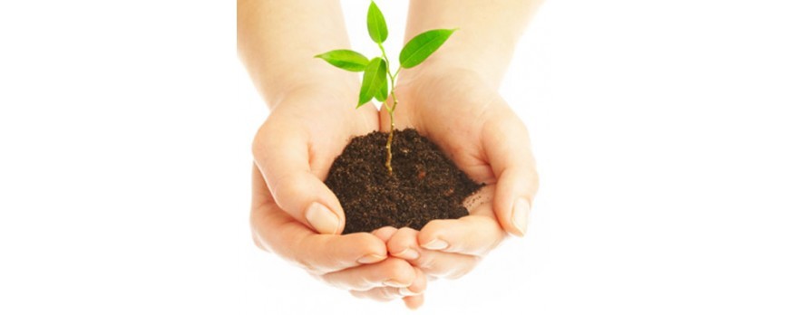 sustainability-and-its-need-