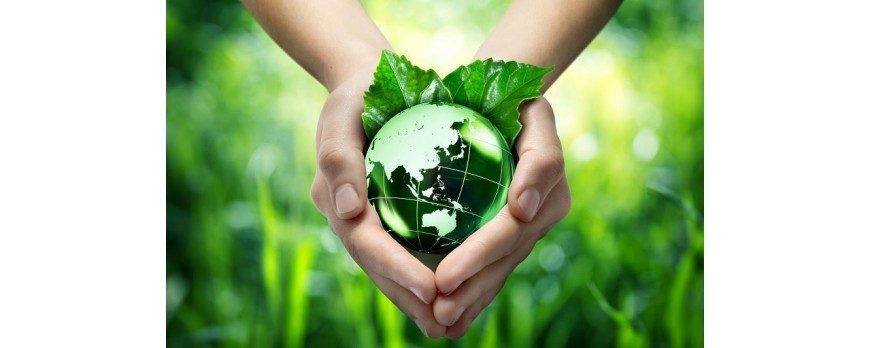 sustainable-living-healthy-living-