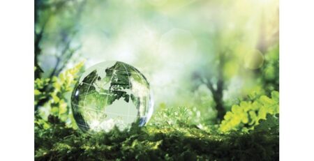 sustainable-living-high-thinking-